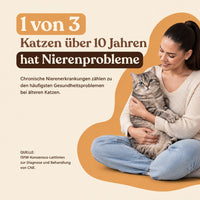 KittyPaw™ - kabelloser Trinkbrunnen