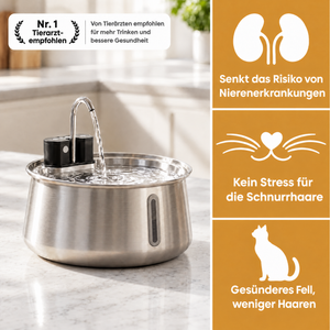 KittyPaw™ - kabelloser Trinkbrunnen